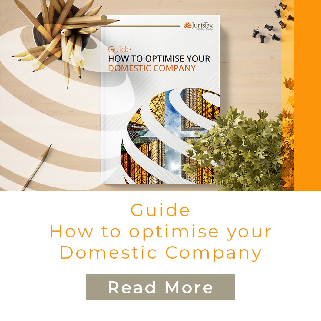 Unlock Success: Free guide on how to optimise your domestic company